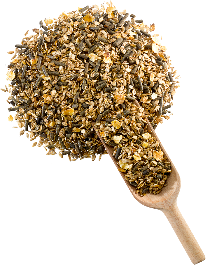 DERBY Vollkorn-Mix mit Kräutern